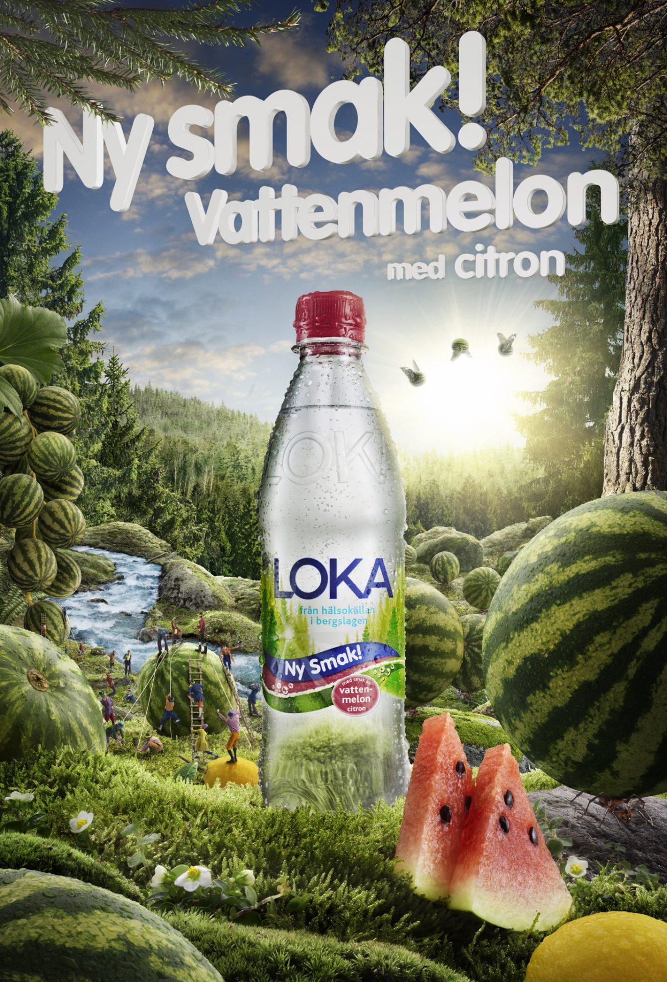 a bottle of water with watermelons and watermelons
