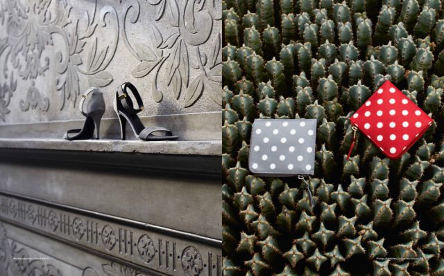 a pair of shoes on a ledge next to a cactus