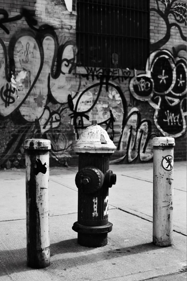 a fire hydrant next to poles