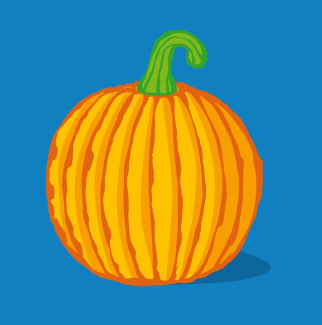 a pumpkin with a green stem
