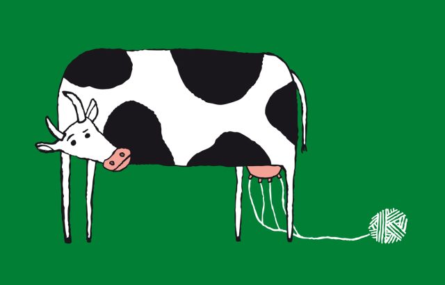 a cow with a string attached to its body