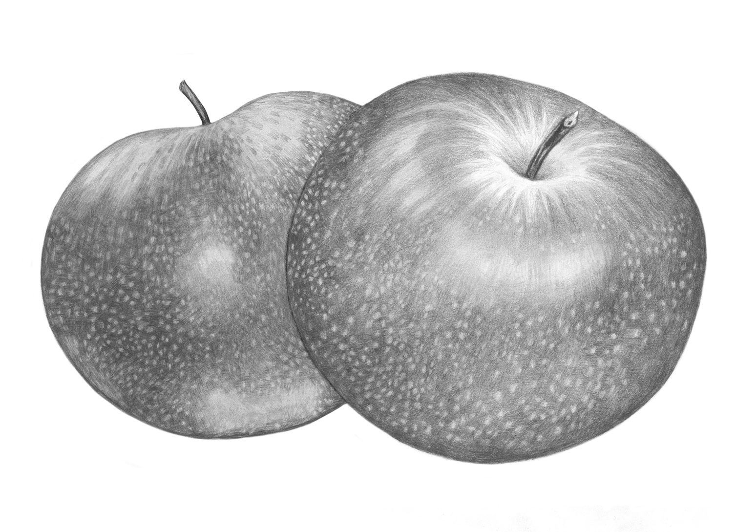 a drawing of two apples
