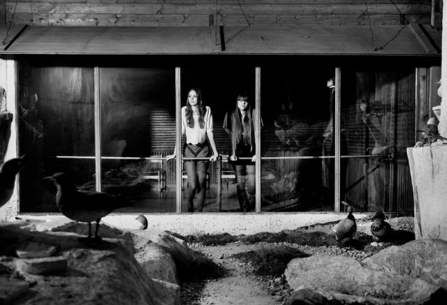 two women standing in a window