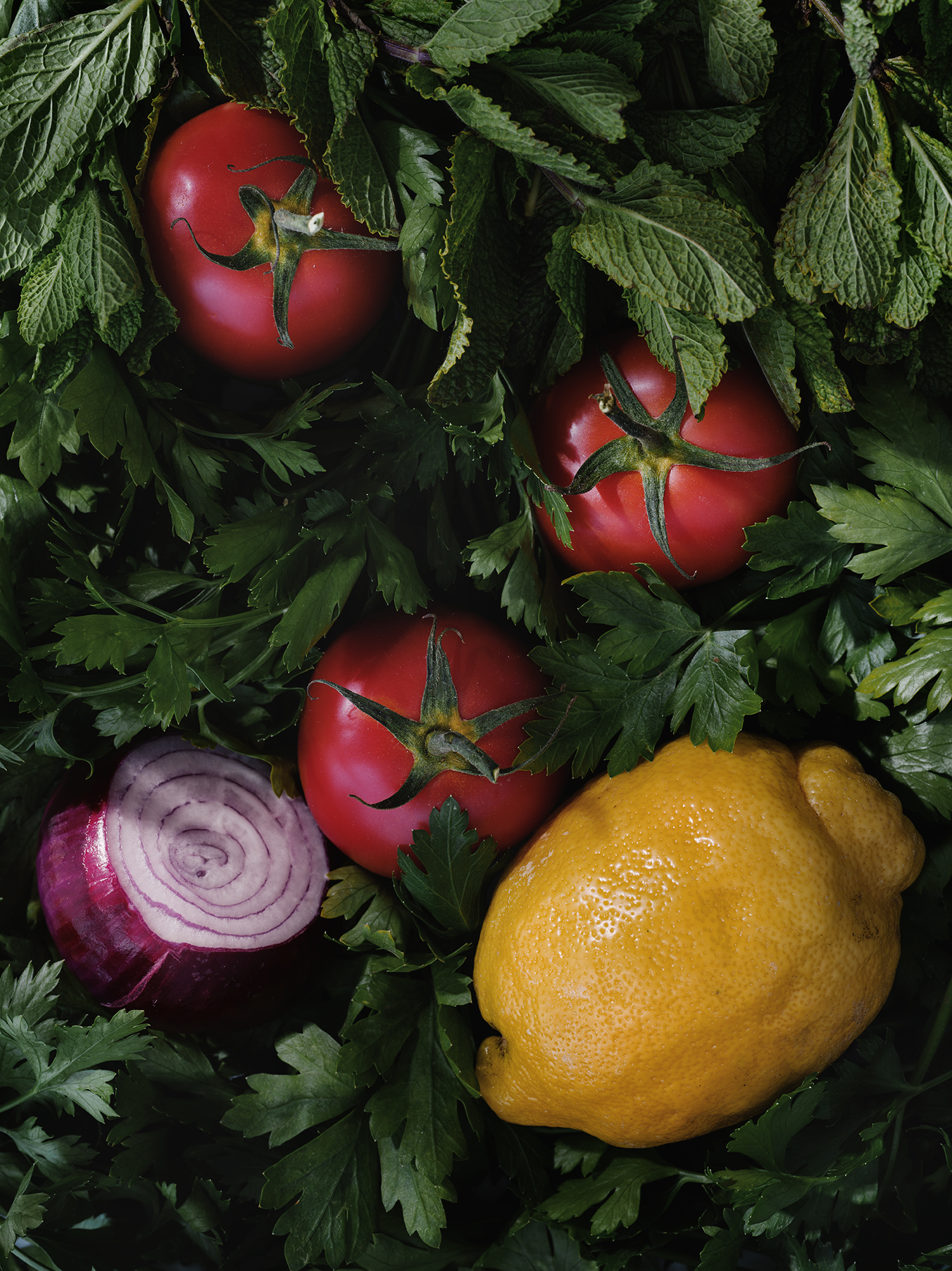 a group of tomatoes and onions in a pile of leaves