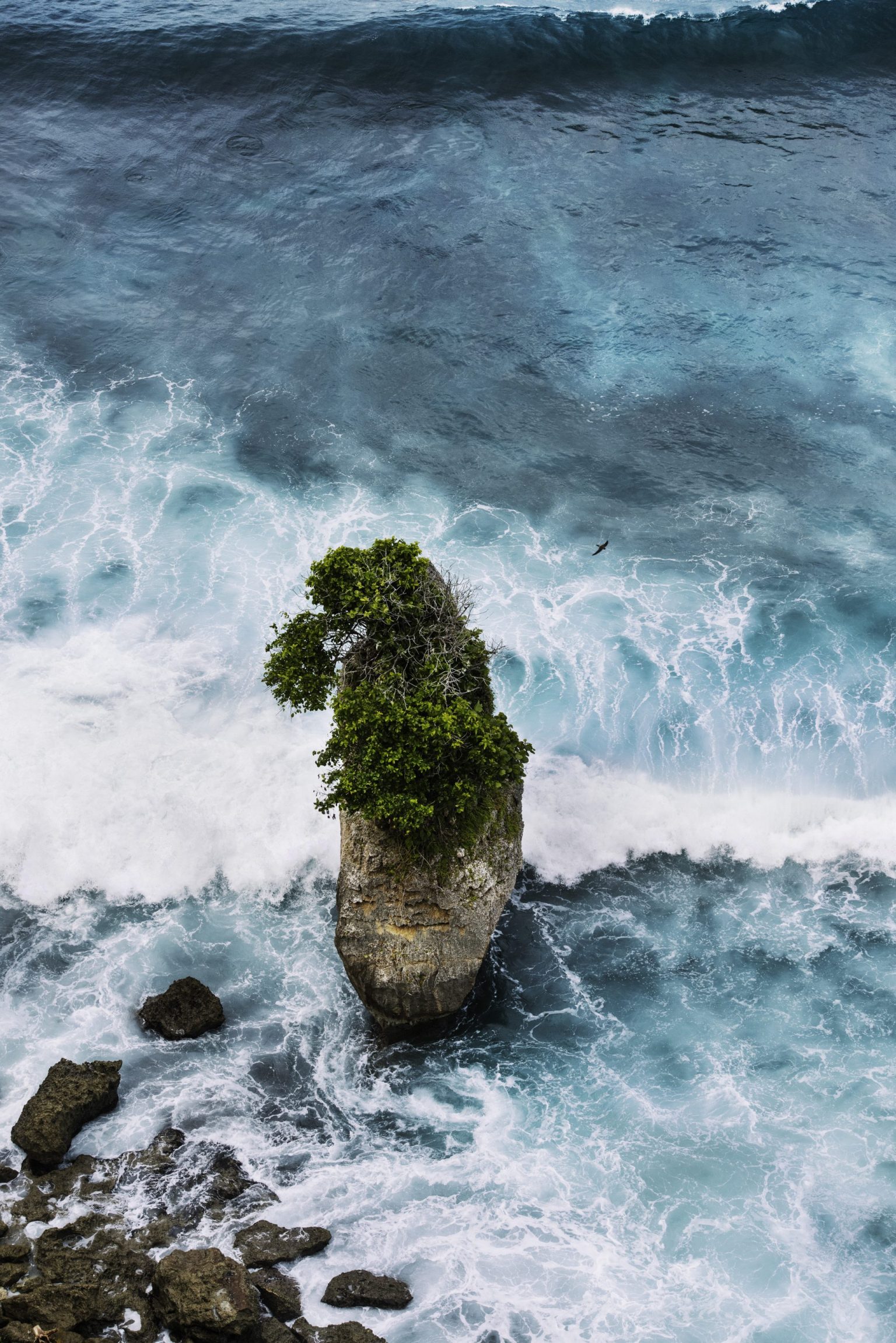 a rock in the ocean