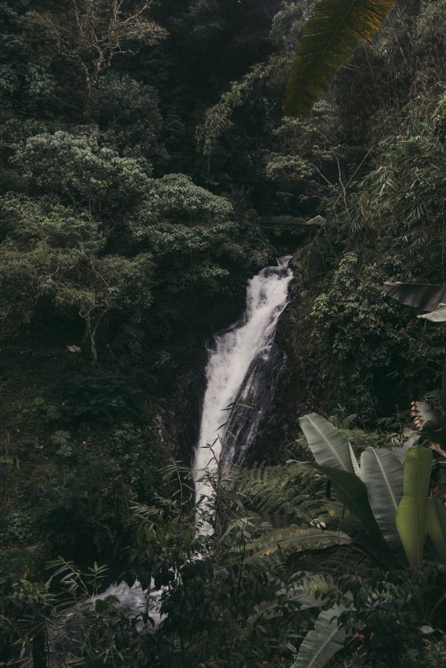 a waterfall in a forest