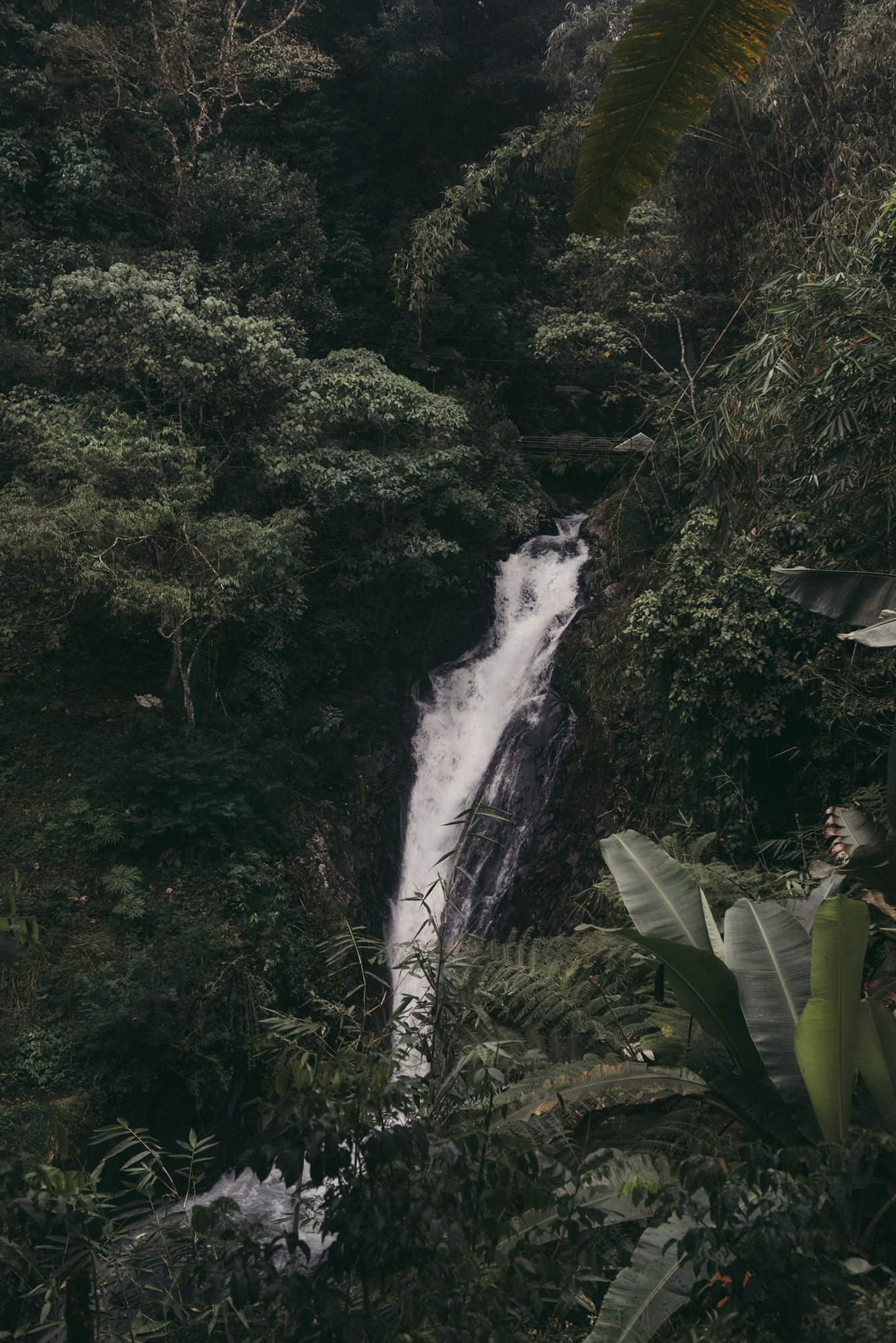 a waterfall in a forest