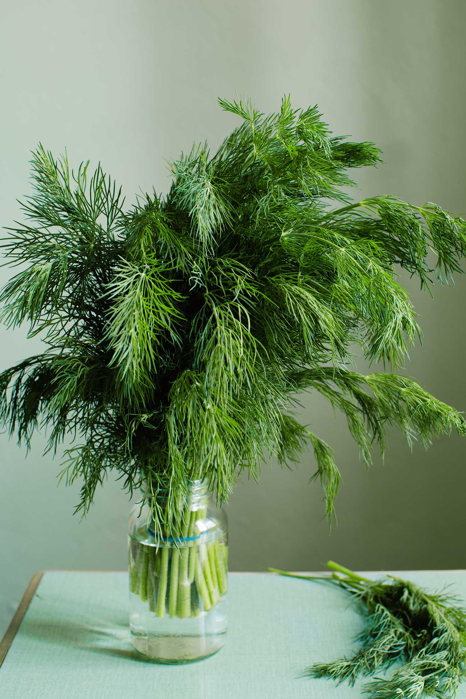 a bunch of green leaves in a glass jar