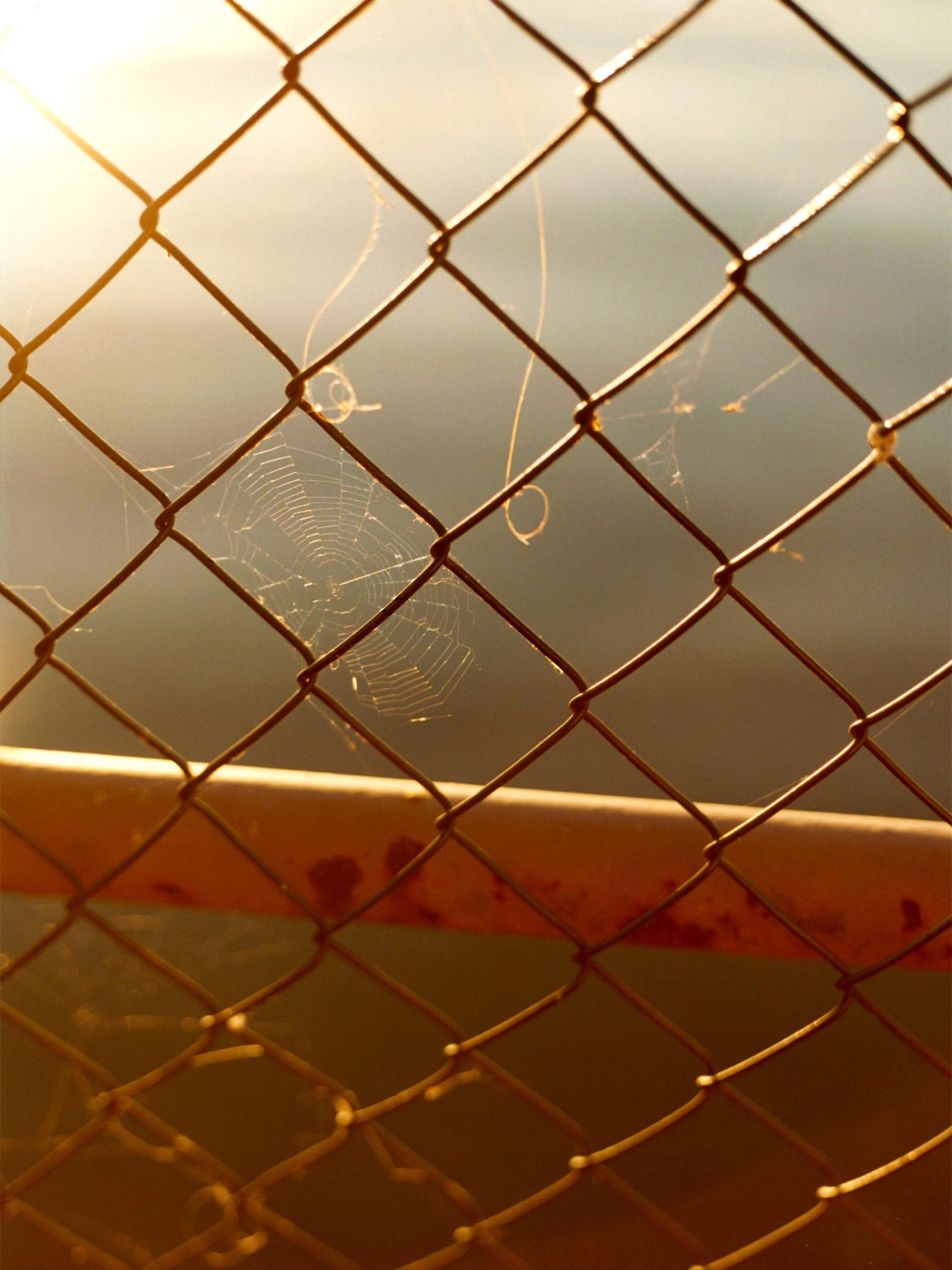 a spider web on a chain link fence