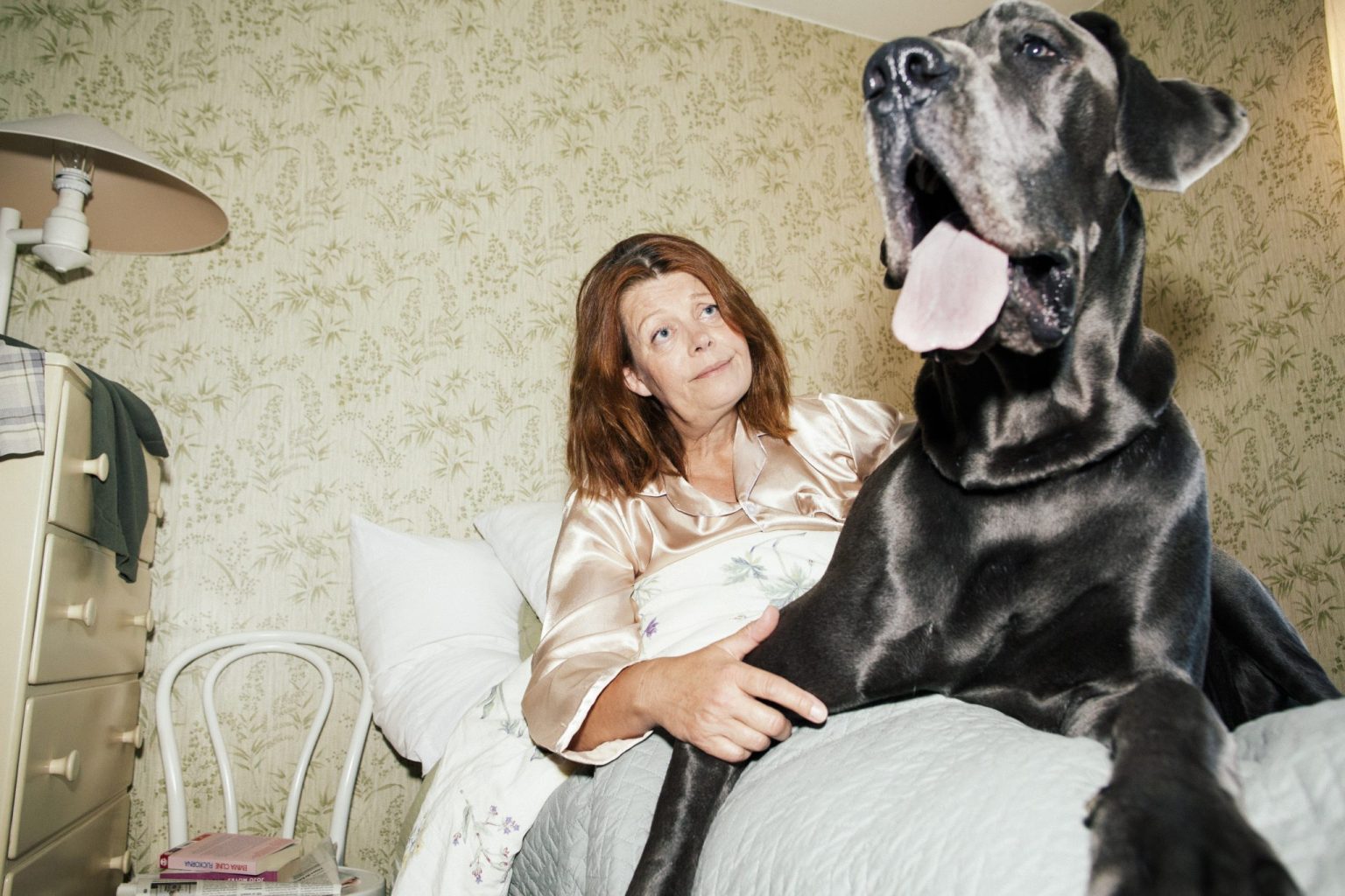 a woman lying on a bed with a large dog