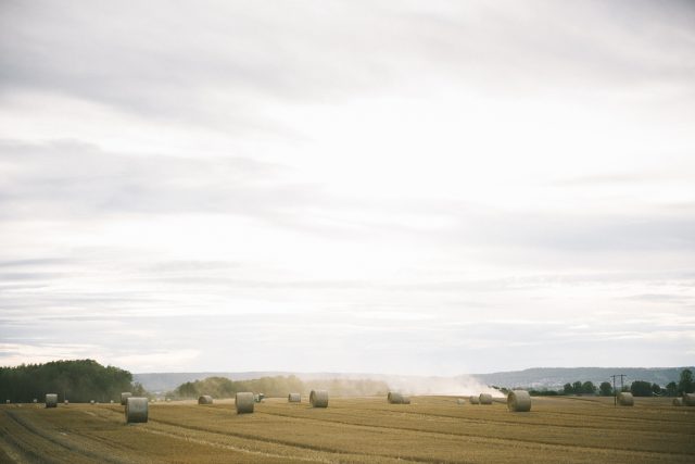 a field with round bales of hay
