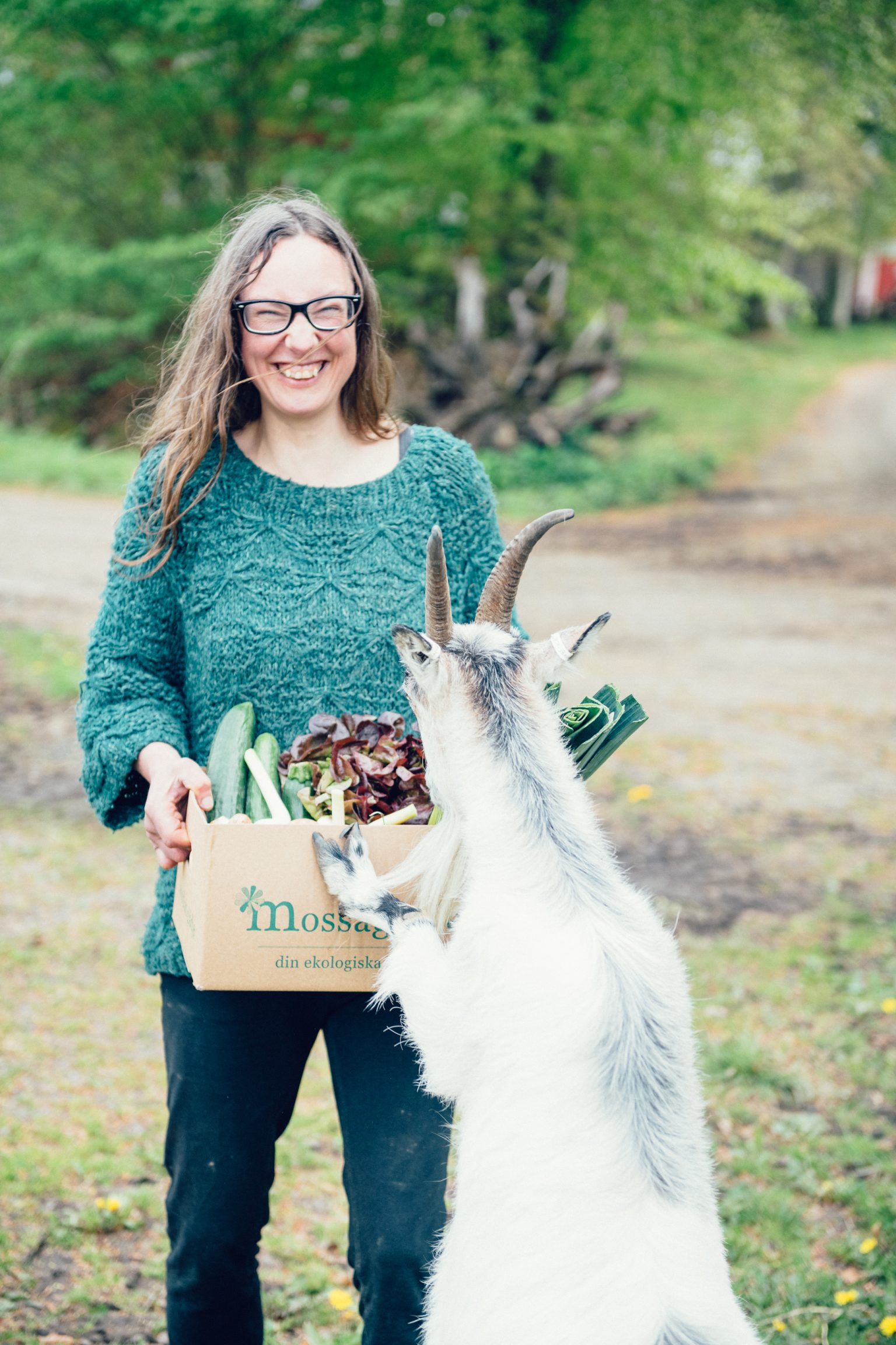 a woman holding a box of vegetables and a goat