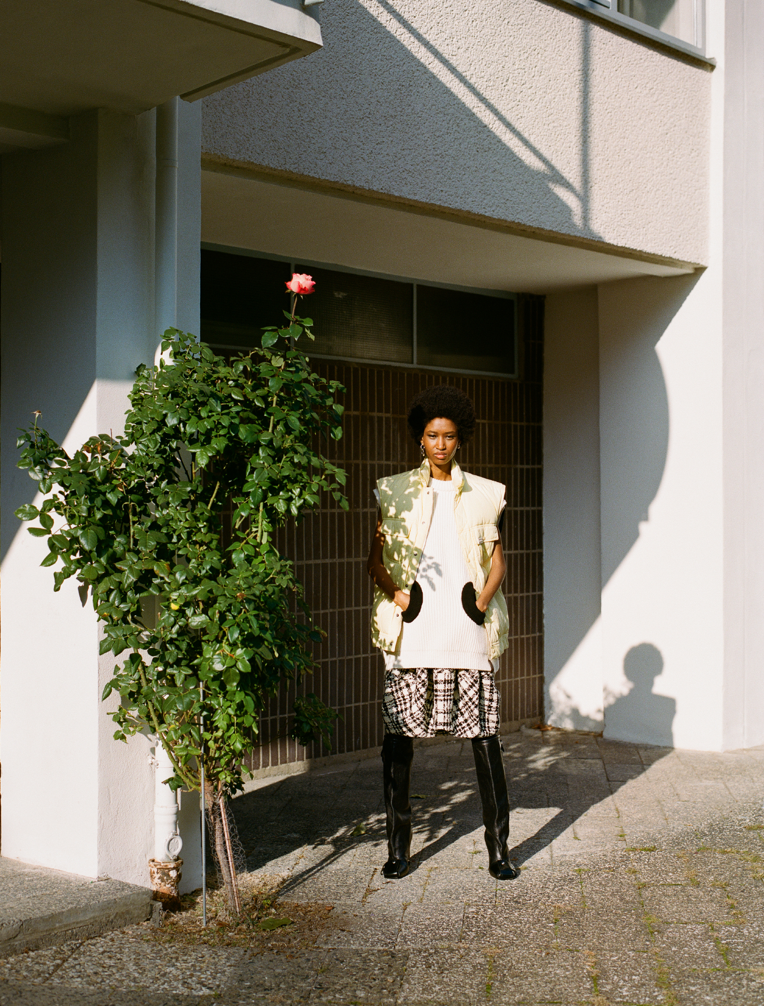 Plaza Trend Issue