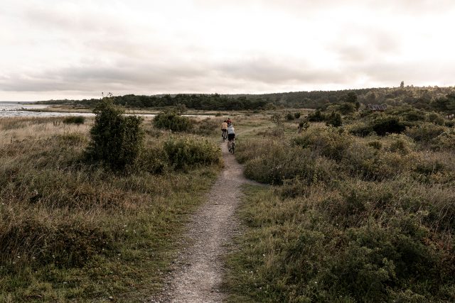 a couple of people riding bikes on a trail in a field