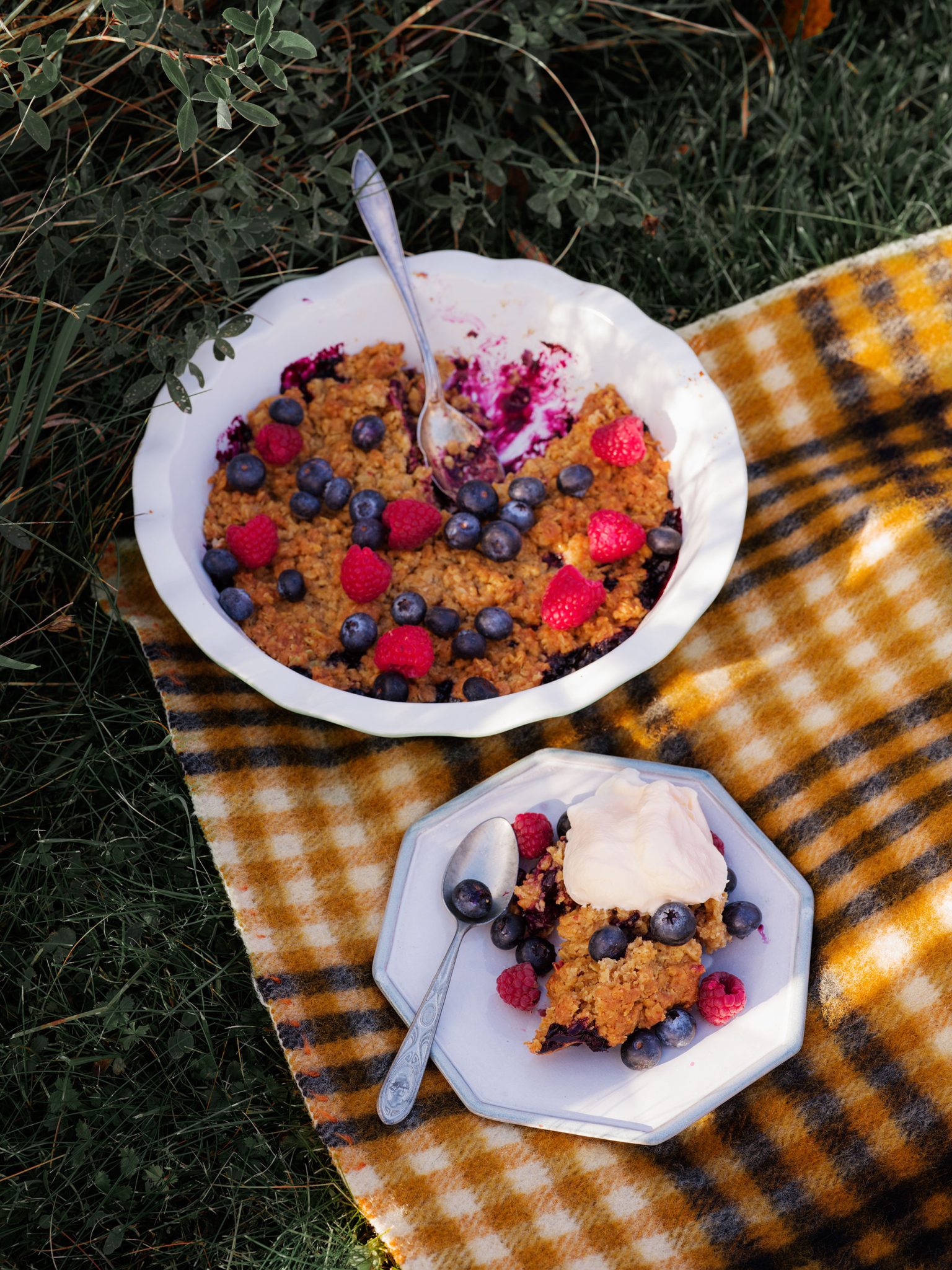 a bowl of oatmeal with berries and a spoon on a blanket