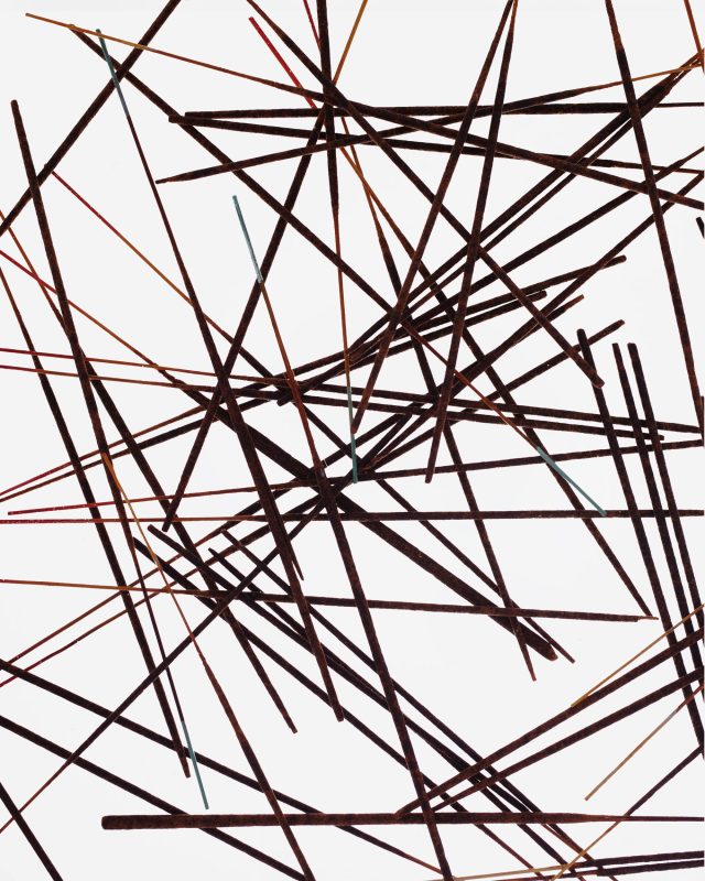 a group of thin sticks