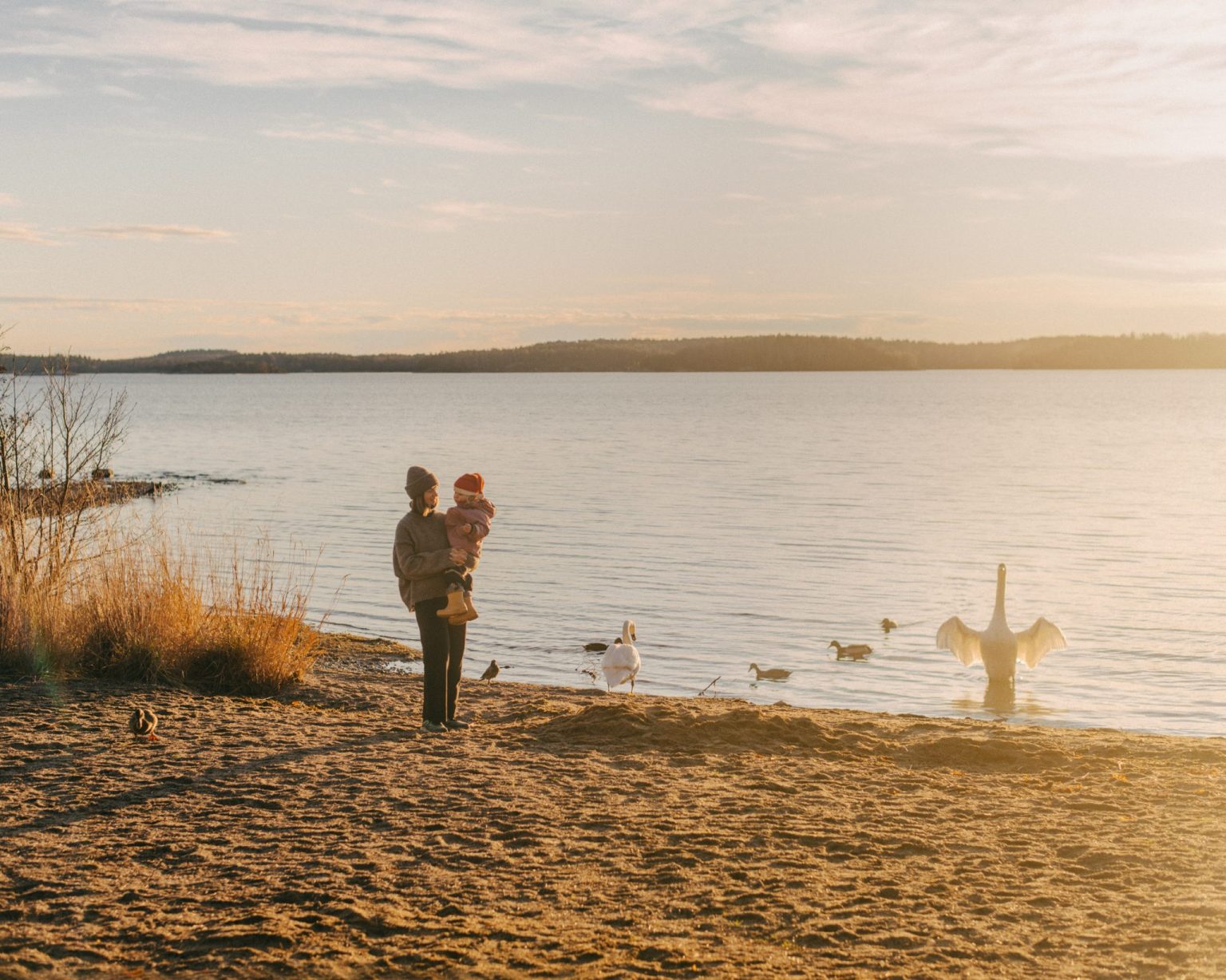 a woman holding a baby on a beach with a swan in the background