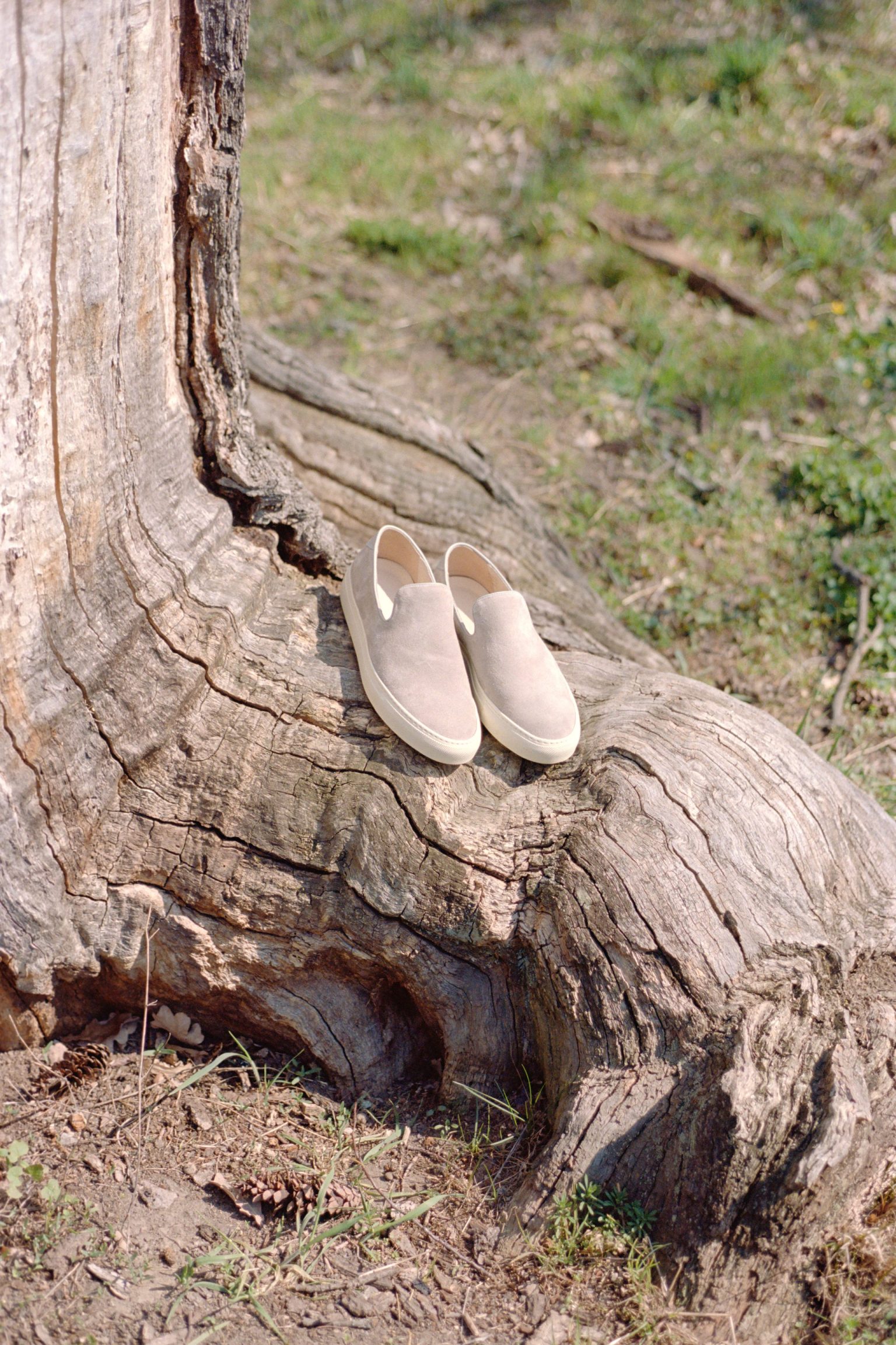 a pair of shoes on a tree stump
