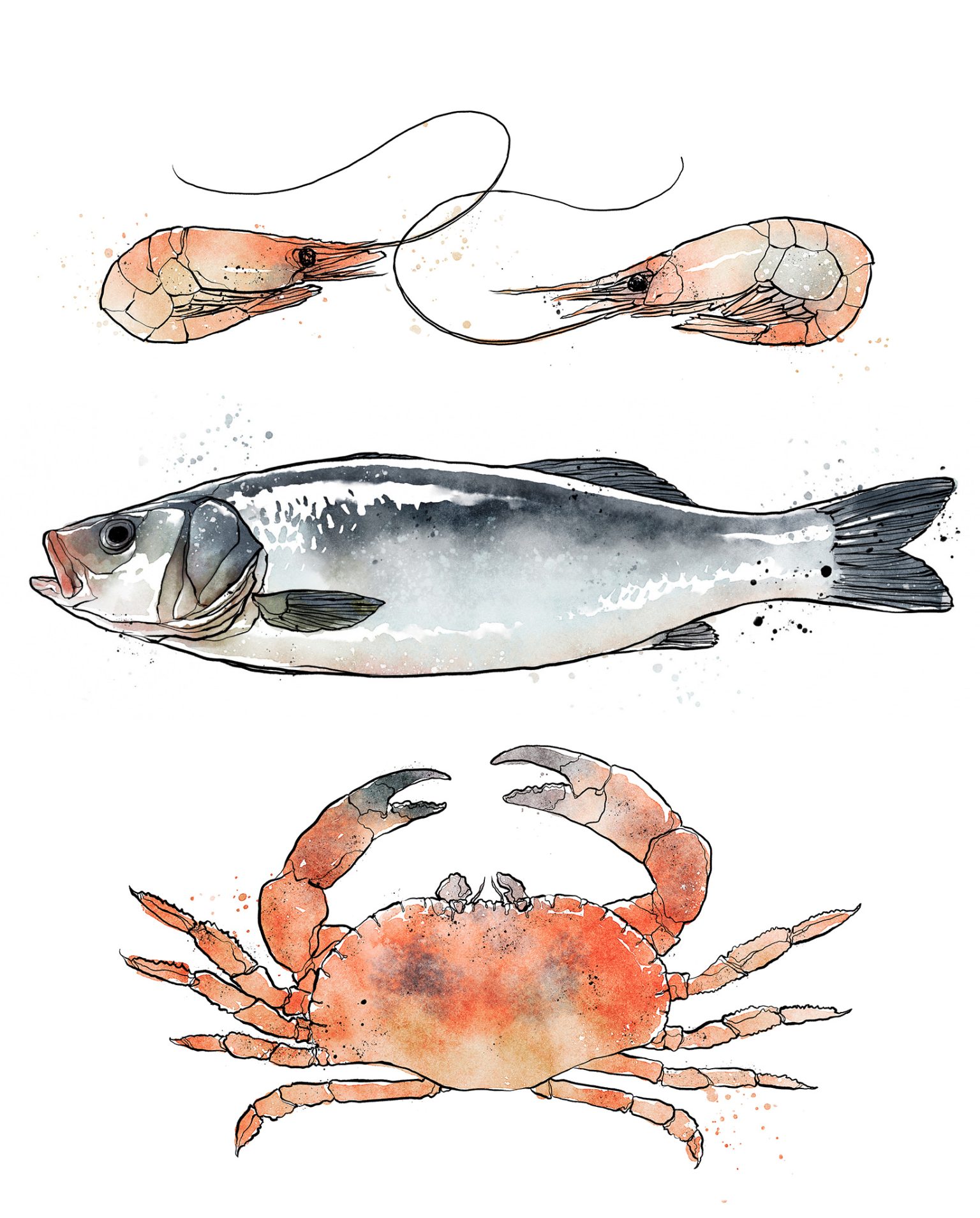 a watercolor of a fish shrimp and crab
