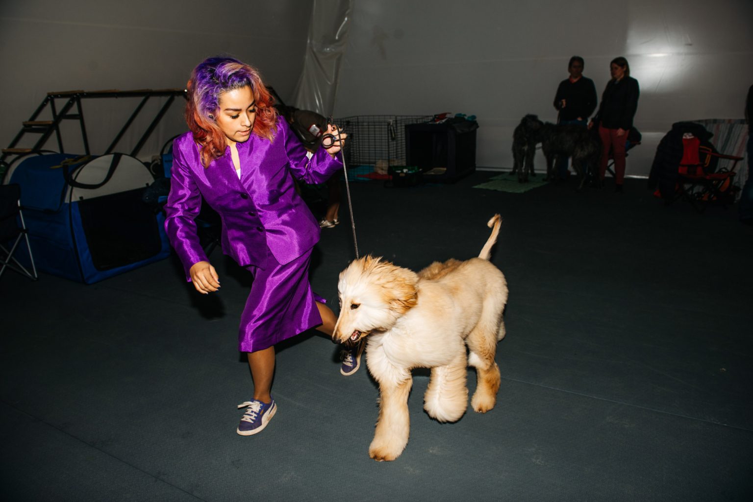 a woman in purple dress walking a dog