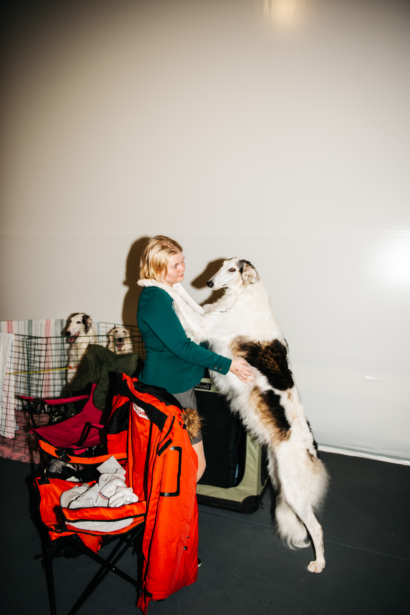 a woman holding a large dog