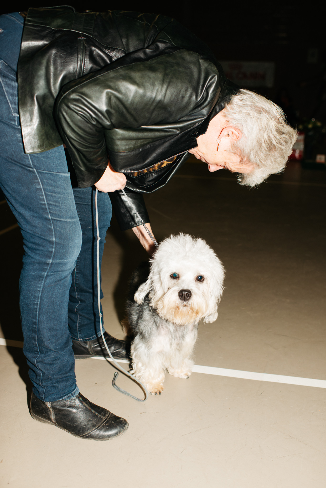 a person petting a dog