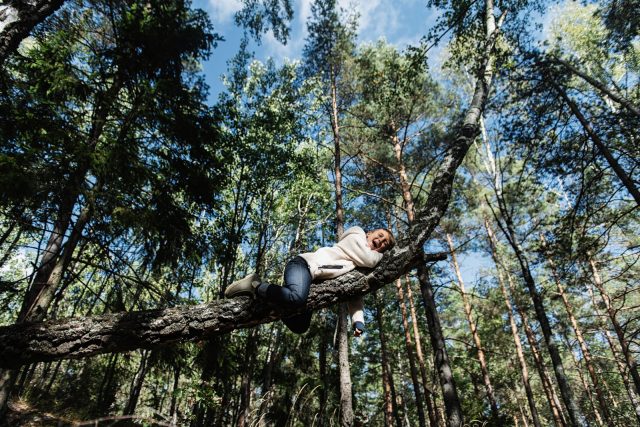 a woman lying on a tree branch