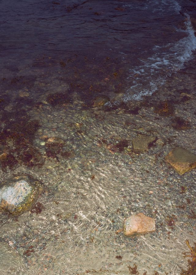 a rocky beach with rocks
