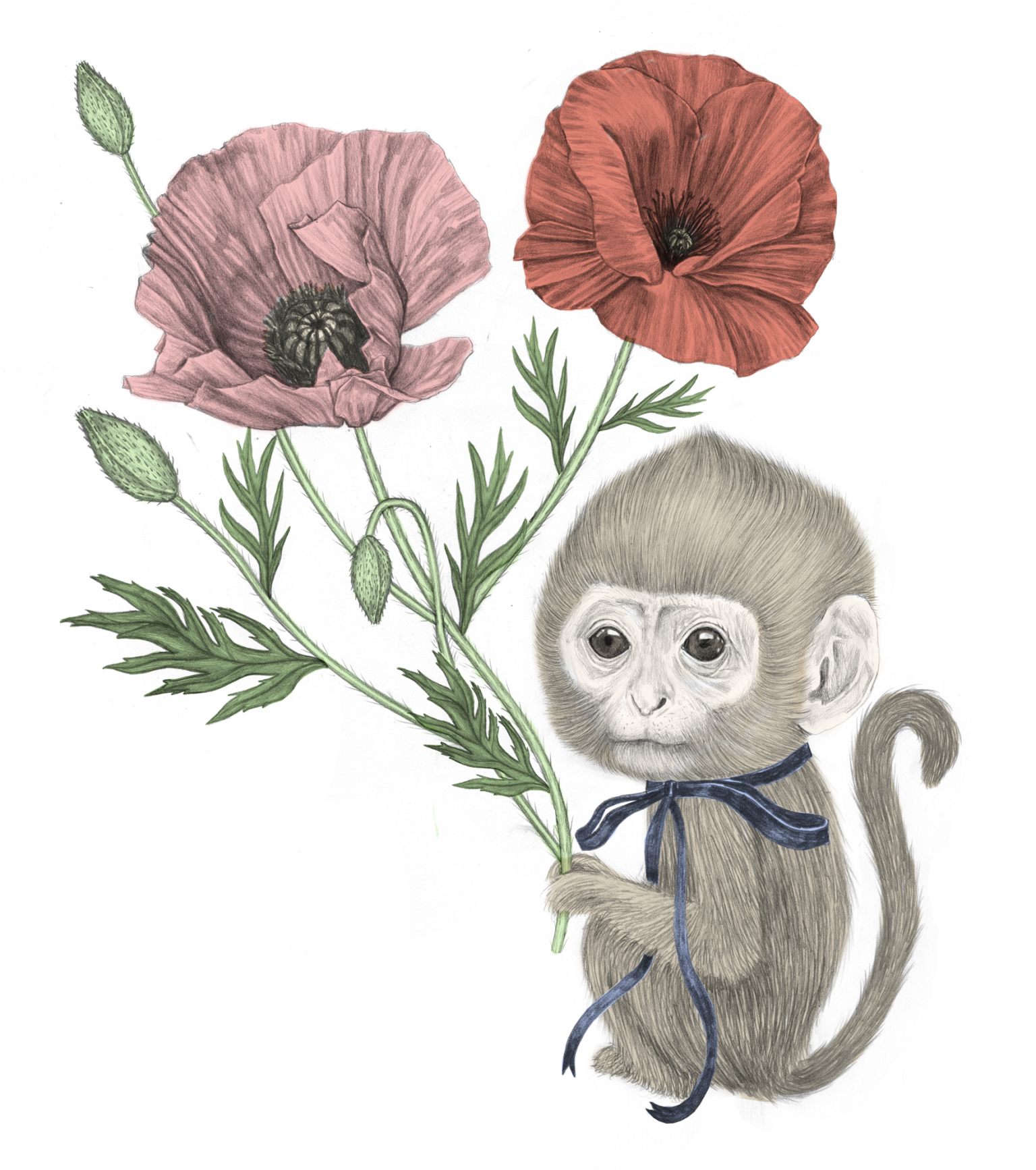 a drawing of a monkey holding flowers