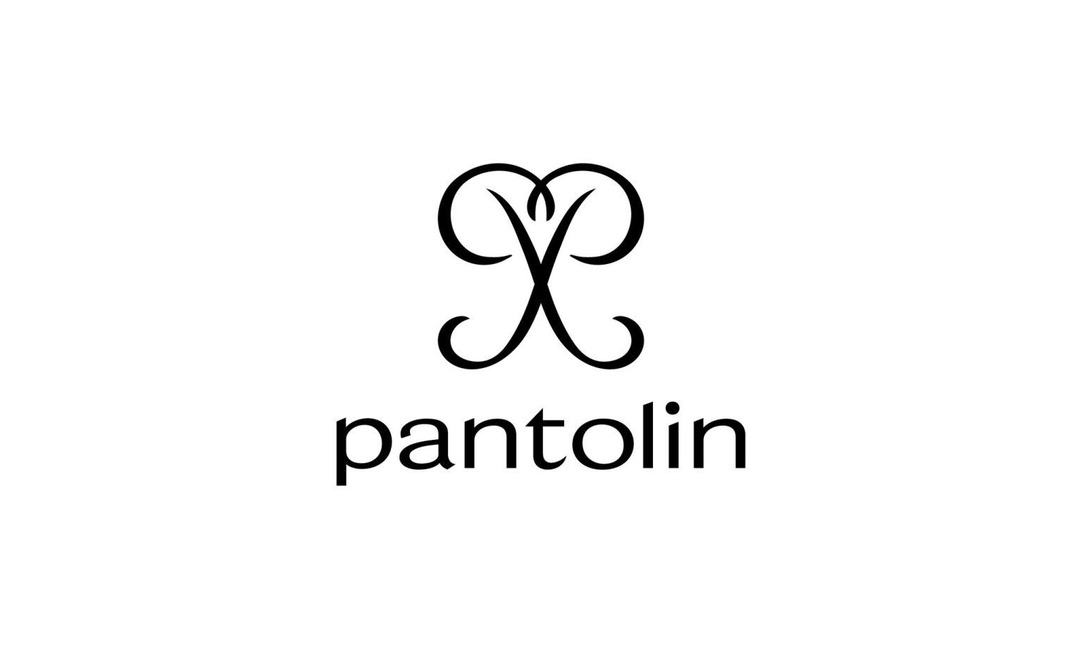 Pantolin Brand Identity