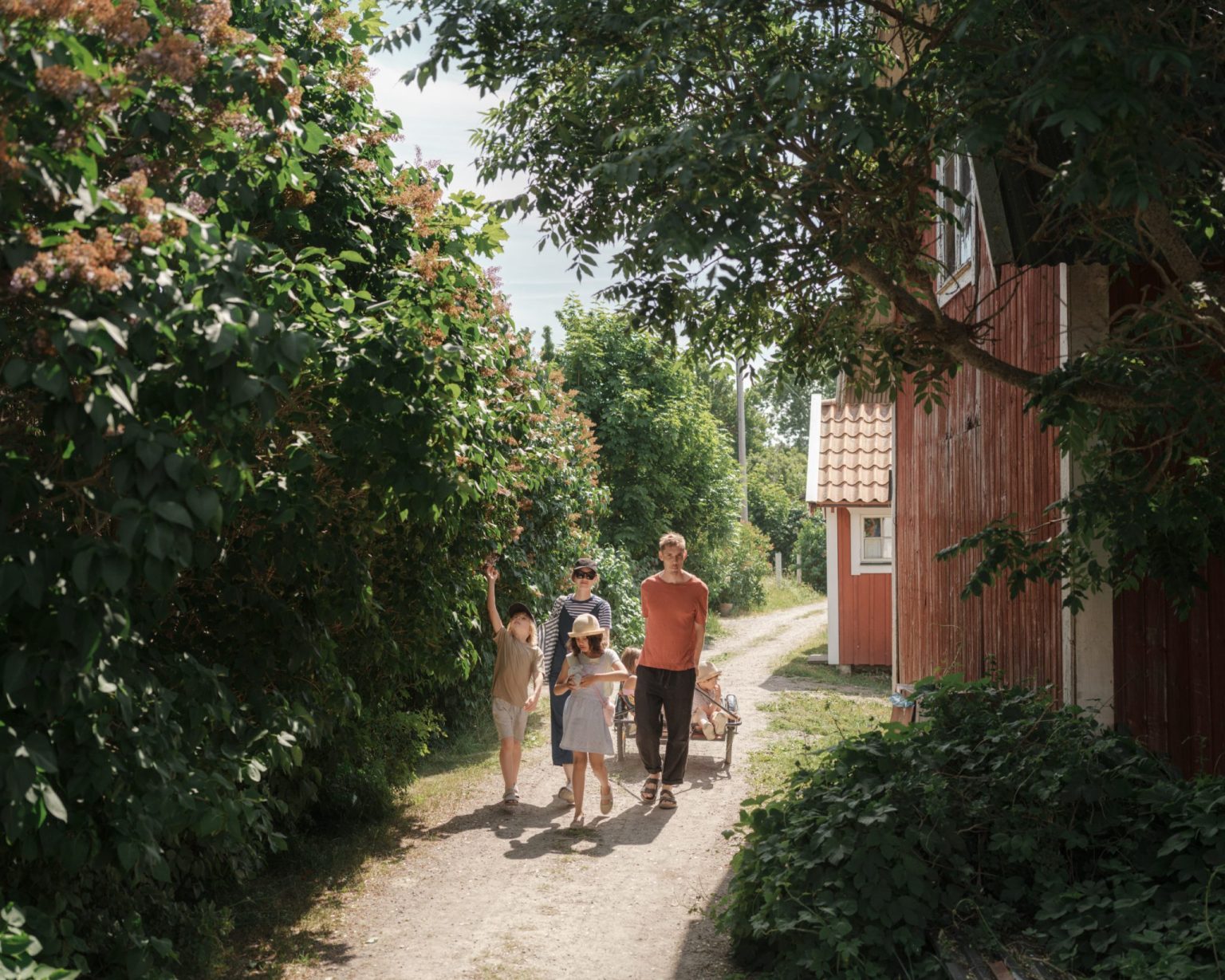a group of people walking down a path with trees