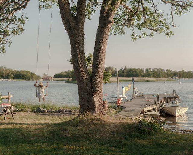 a person swinging on a swing by a lake