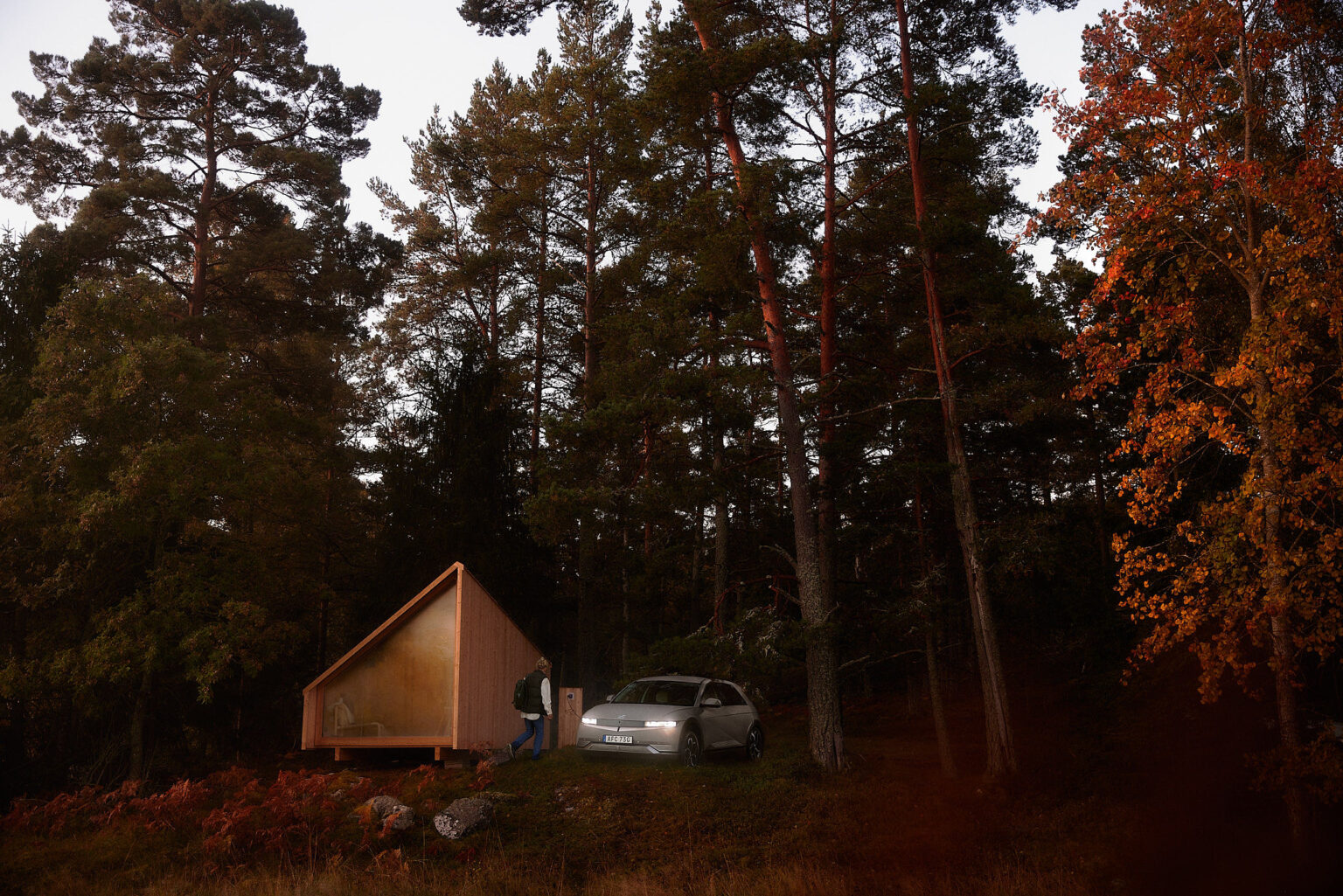 a car parked in a forest