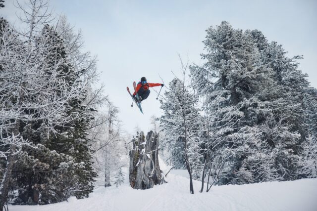 Skier mid-air performing a trick over a snowy landscape with frosted trees.