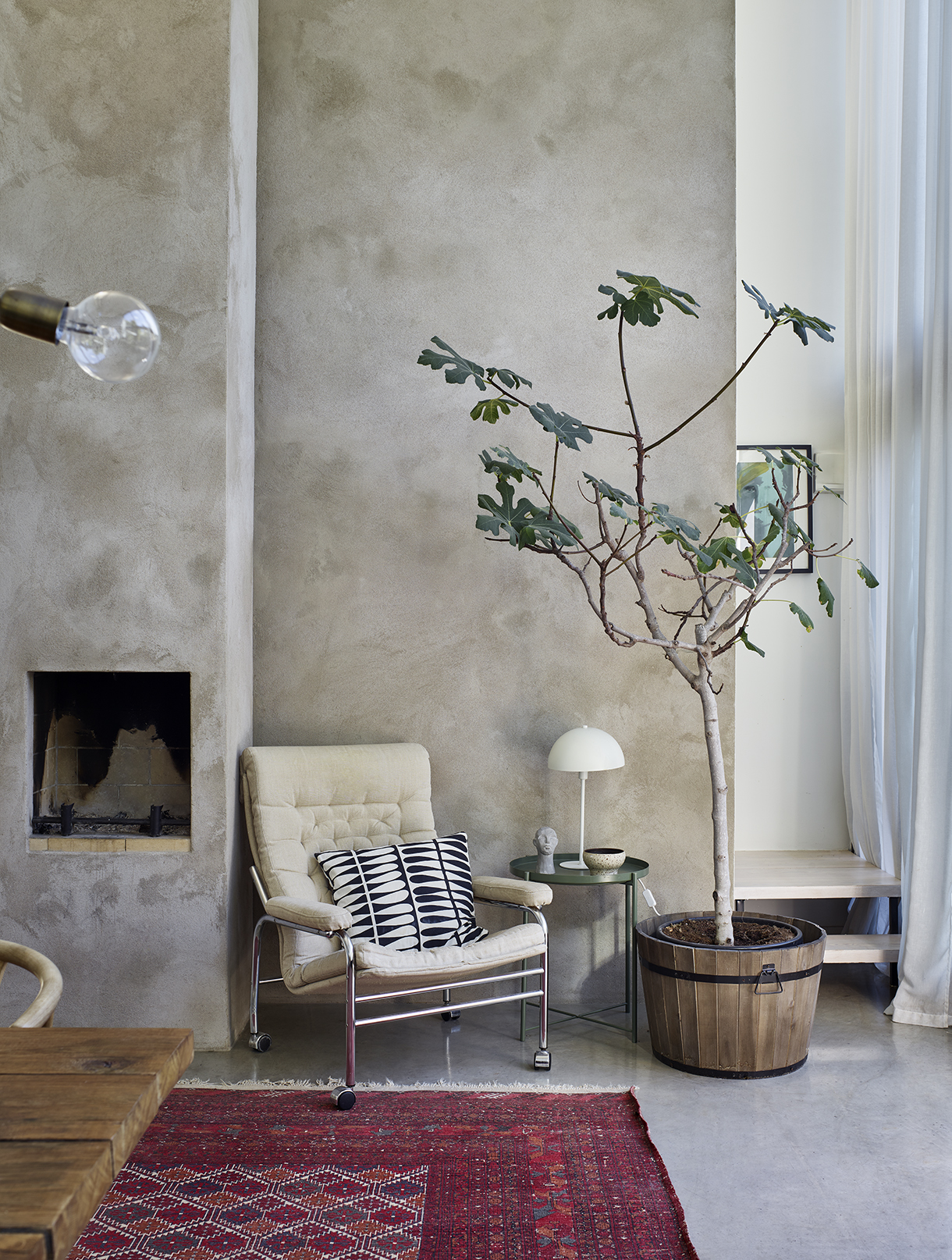 a room with a tree and a chair