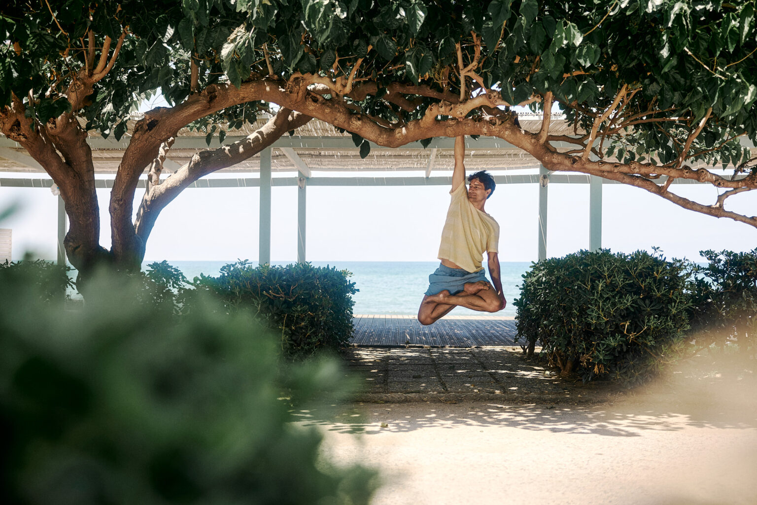 a man from a tree