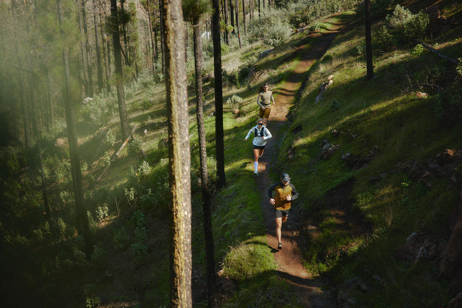 a group of people running on a trail in the woods