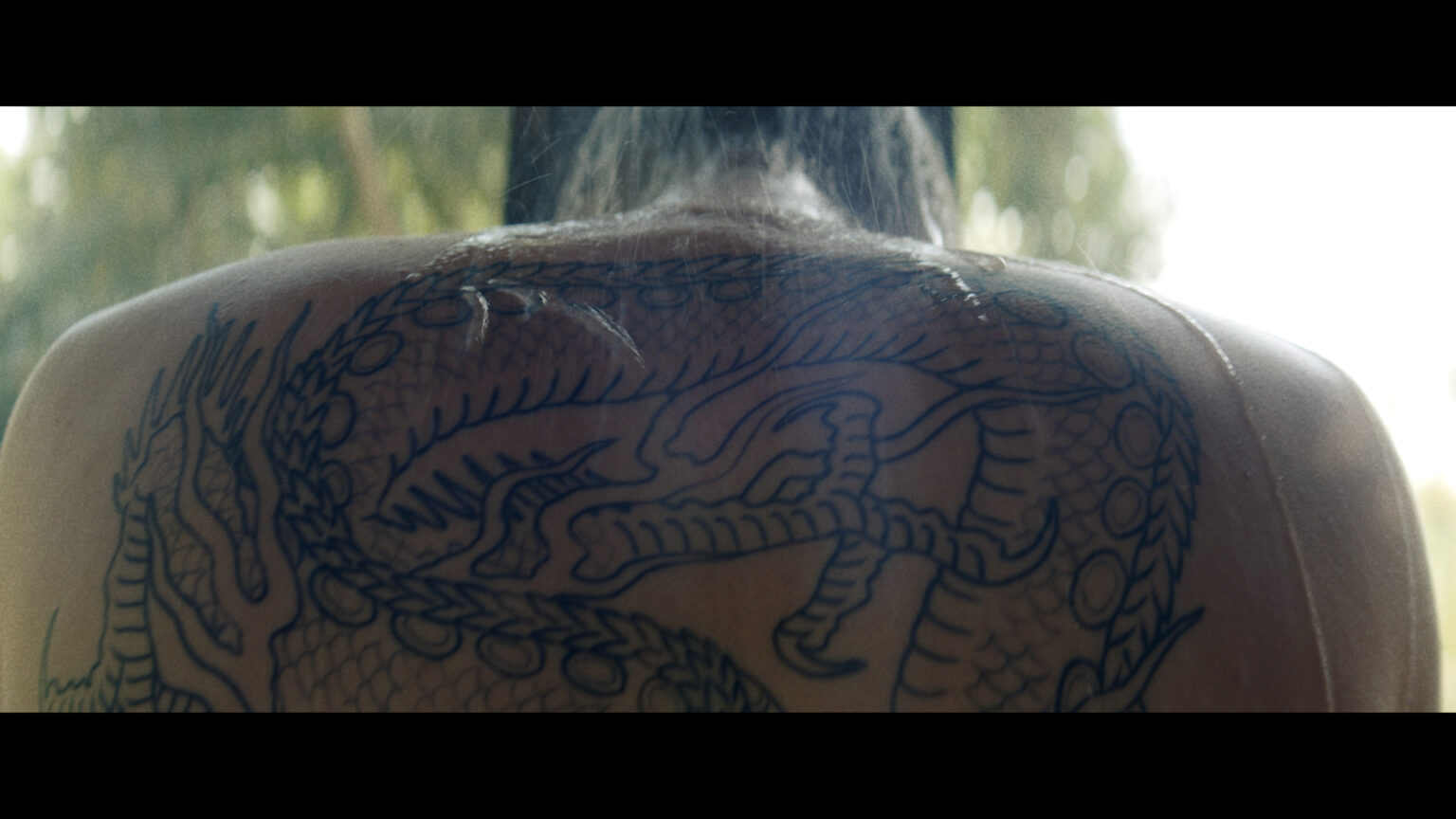 a tattoo on a person's back