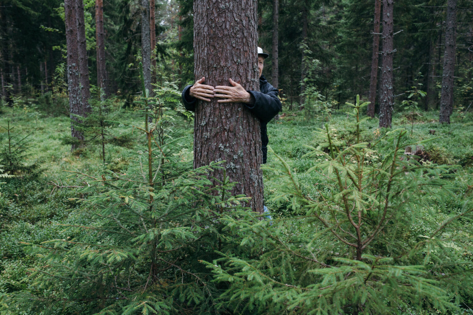 a man hugging a tree in the woods