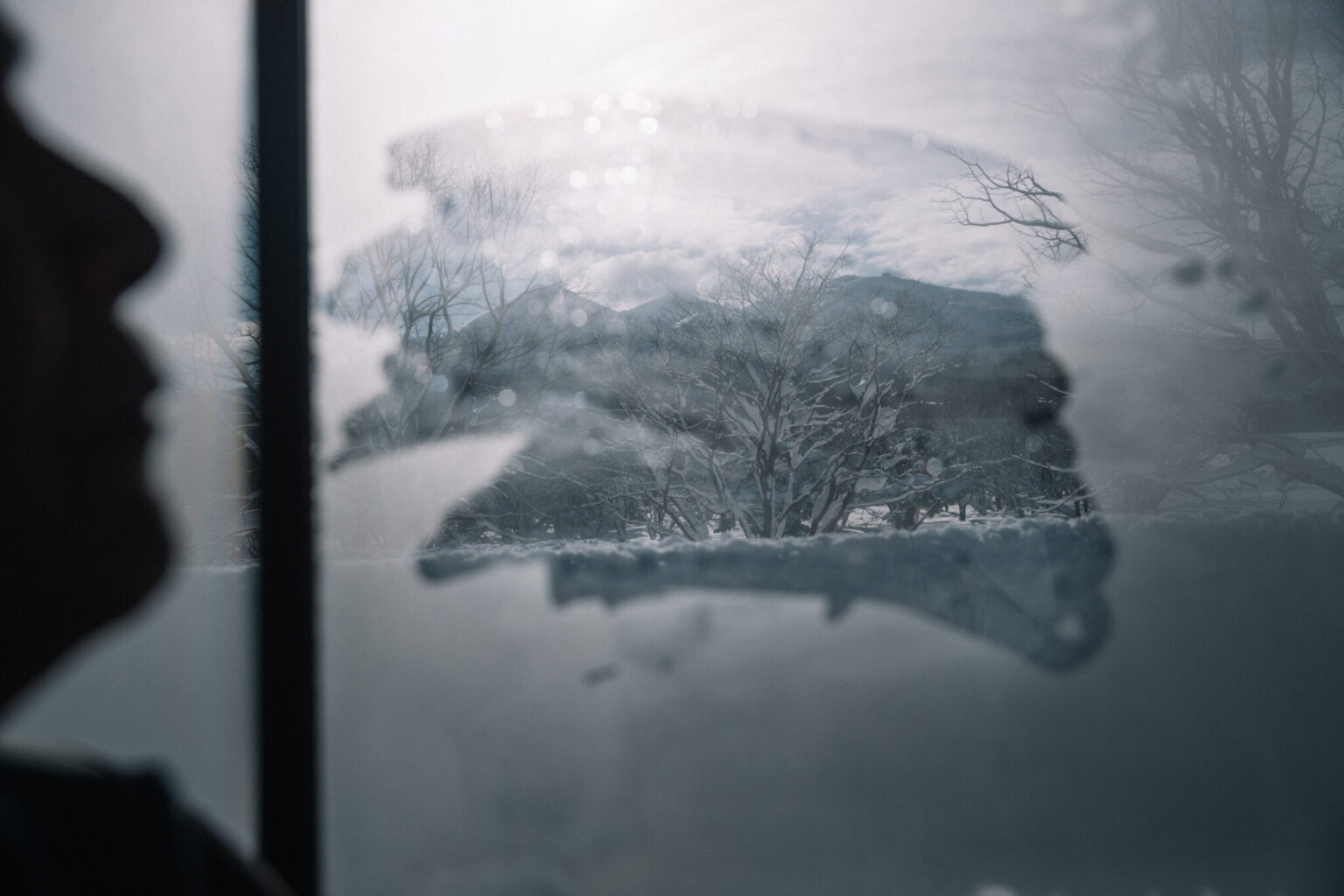 a snow covered tree on a window