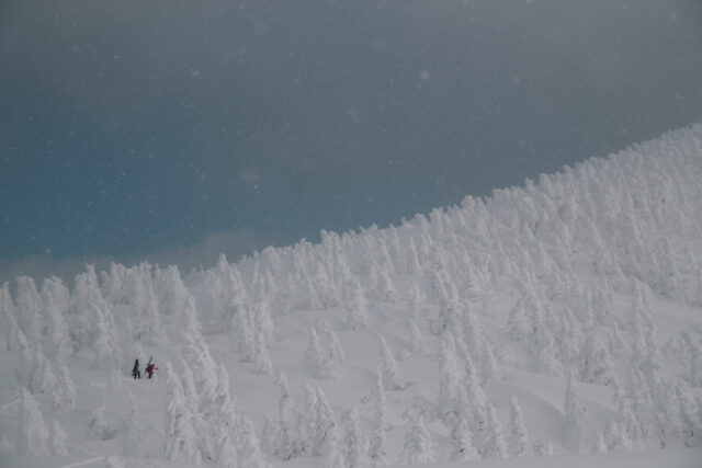 people walking on a snowy mountain