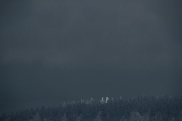 a snowy forest with dark clouds