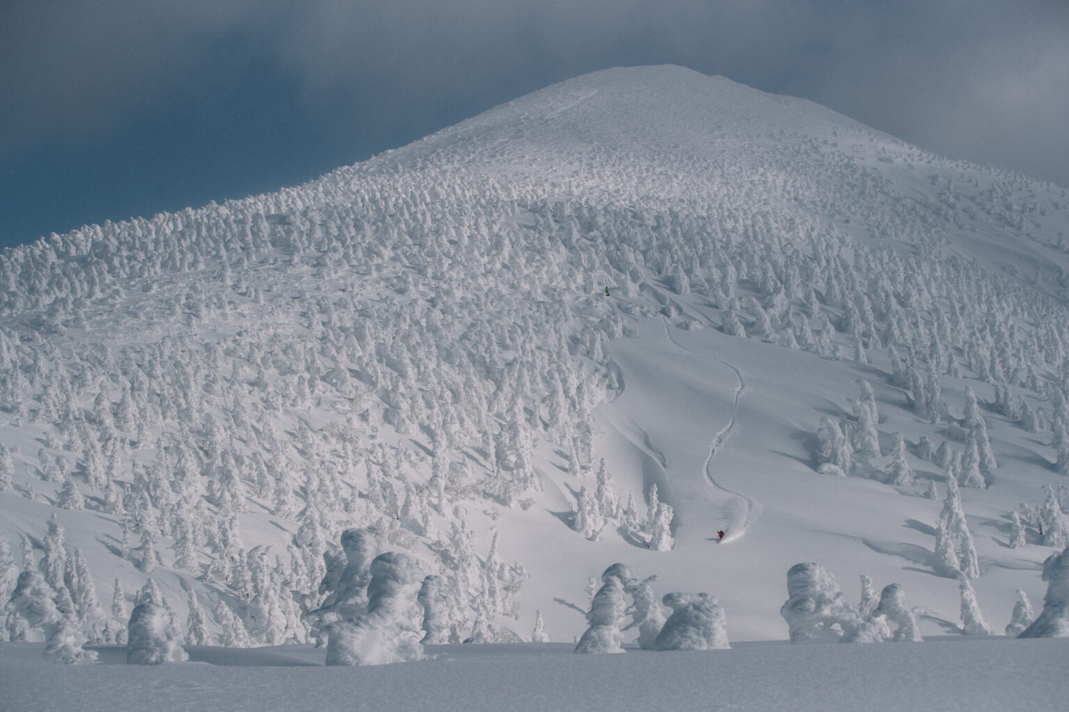 a snow covered mountain with trees