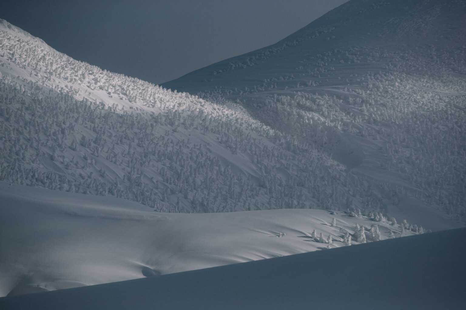 a snowy mountain with trees