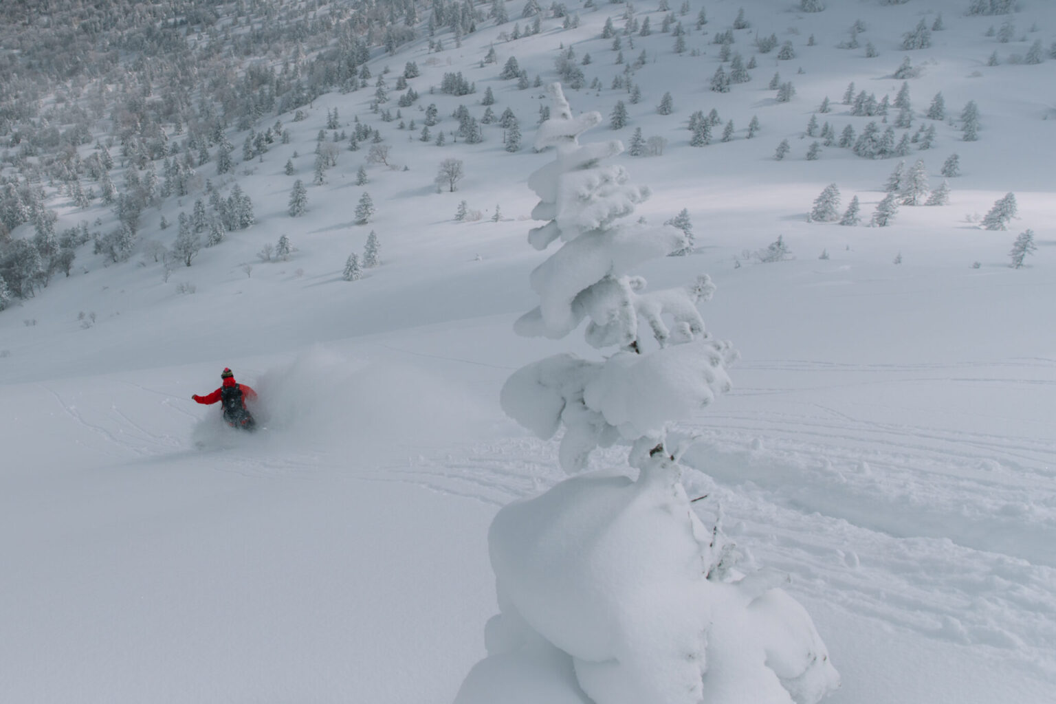 a person on a snowboard