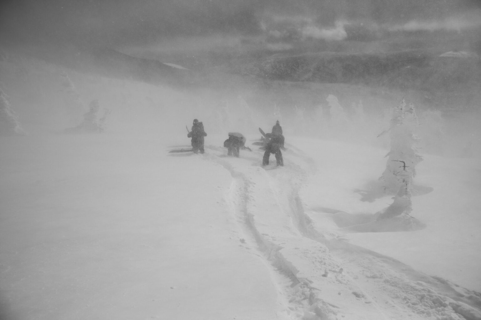 a group of people with skis in snow