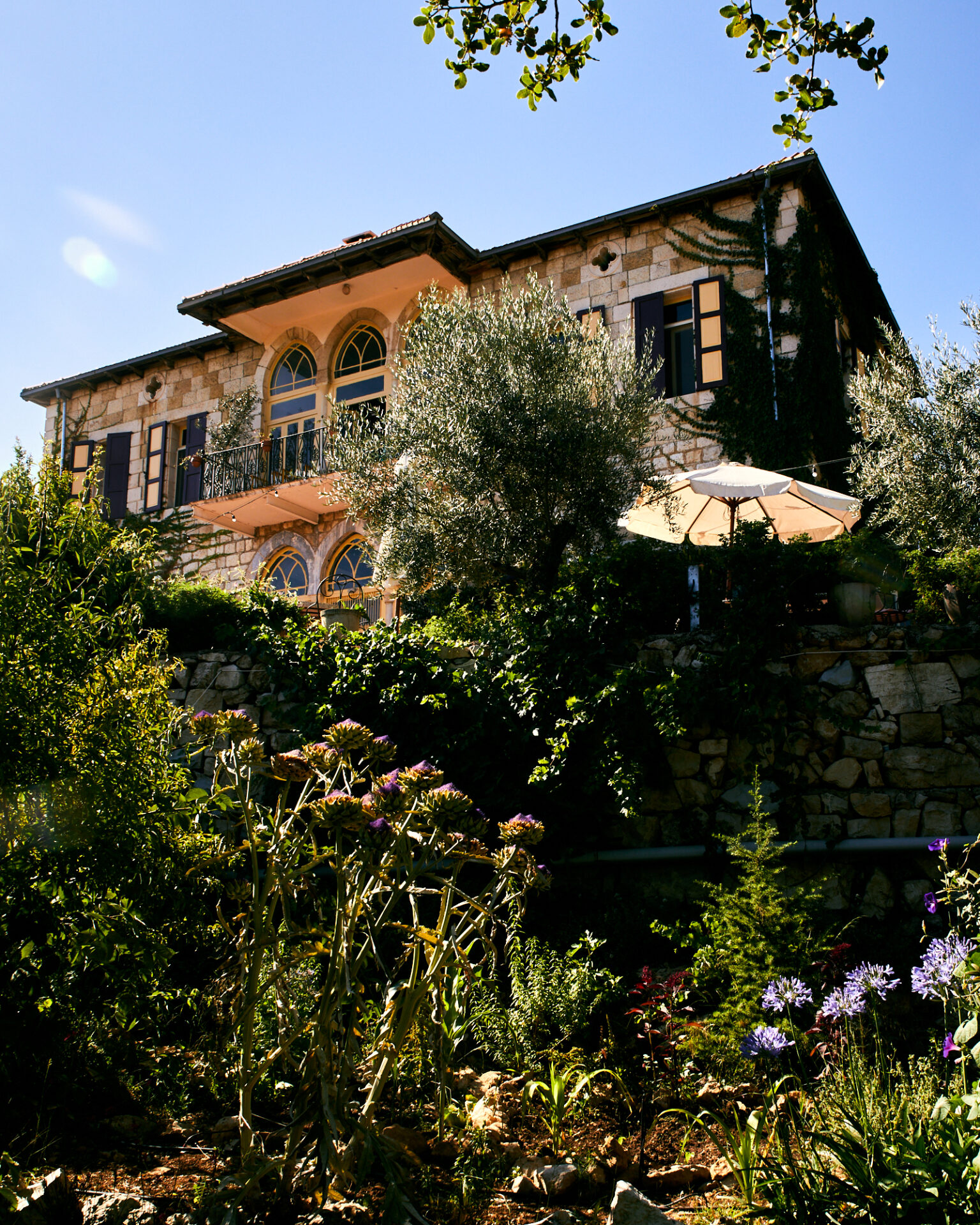 a house with trees and plants around it