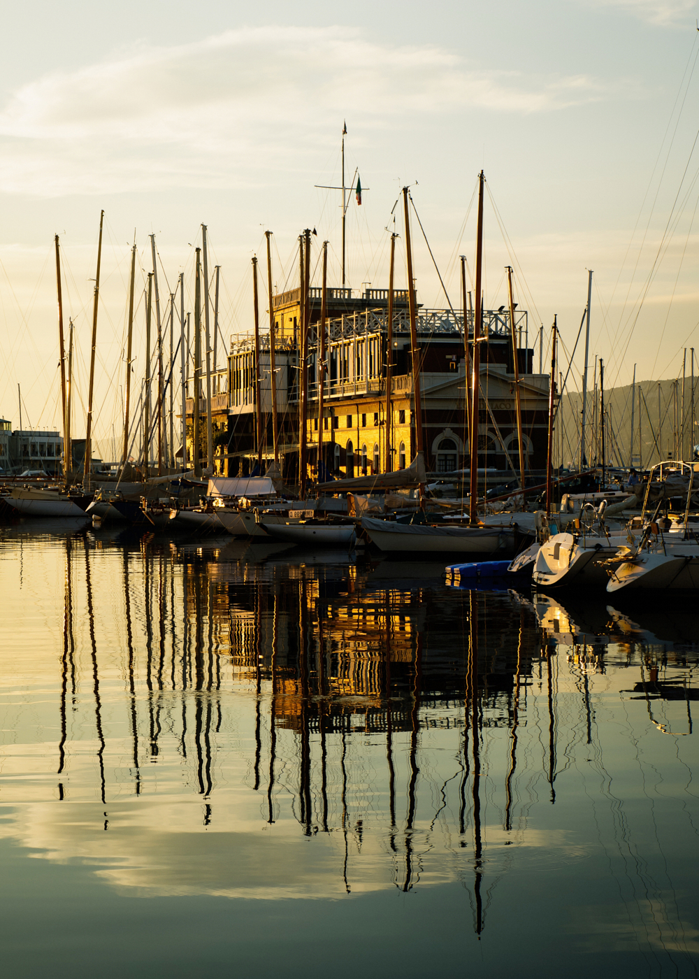 a group of boats in a harbor