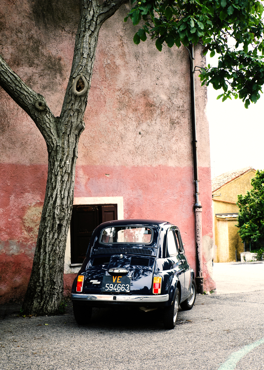 a car parked by a tree