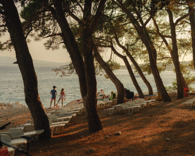 a group of people on a beach